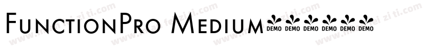 FunctionPro Medium字体转换